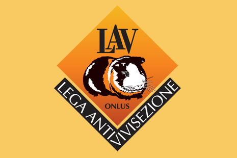 lav
